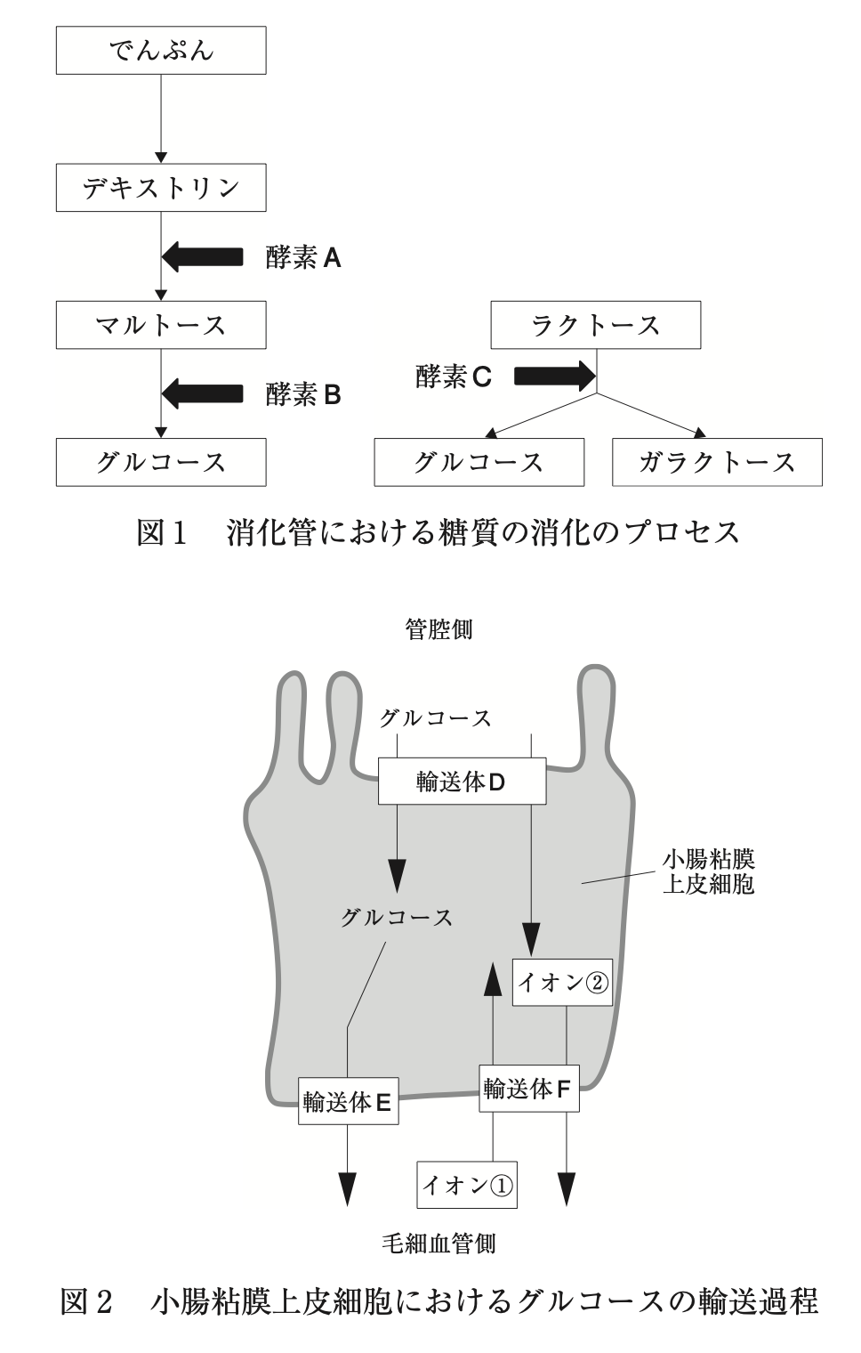 解説画像